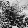 Кудрявцев Е.А. «Композиция с рыбкой»