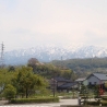 Ненаживина Ирина. «ART/X/TOYAMA»