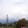 Ненаживина Ирина. «ART/X/TOYAMA»