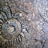 Соколов Игорь (Sinus). «Австралия»