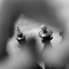 Вита. Из серии «Про жизнь 3»