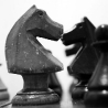 Вита. Из серии «Про жизнь 3»
