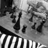 Вита. Из серии «Про жизнь 3»