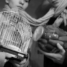 Вита. Из серии «Про жизнь»