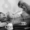 Вита. Из серии «Про жизнь»