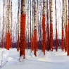 Васильев Юрий. Russian Red Project «Сегменты»