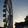 Гутник Игорь. «Гамбург 2009»