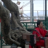 Гонконг 2009