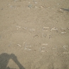 imgp2181.jpg