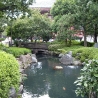 imgp2287.jpg