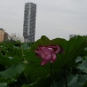 imgp2345.jpg