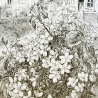 Елена Копылова. «Начало лета»