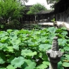 Лидия Козьмина, Олег Подскочин. «Деревня на воде Чжоу Чжуан (Zhou Zhuang)»