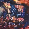 Бородин В. «Планета Х»