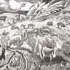 Бирюков М. «С»