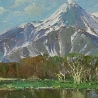 Виталий Медведев. «Авача»