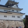 Ненаживина Ирина. «ART/X/TOYAMA»