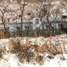Осиповы Евгений и Оксана. «Бархатцы»