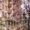 Осиповы Евгений и Оксана. «Серая лошадь»