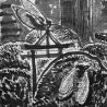 Владимир Позигун. Из серии «Стрекозы и острова», «Токио. Акасака, цикады»