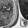 Владимир Позигун. Из серии «Рыбы»