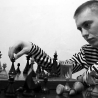 Вита. Из серии «Про жизнь 3»