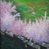Alexander Gunzenov. «Time of flowering of a cherry»