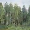 Dima Proskurykov. «Old Peterhof landscape»