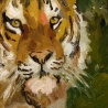 Dima Proskurykov. «tiger»