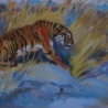 Dima Proskurykov. «tiger»