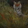 Dima Proskurykov. «tiger»