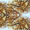 Marina Verhoturova. «Hobby 3»