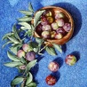 Alyona Savchenko. «Plums»