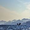 Виктория Попова. «Вид с моря на утренний туманный Владивосток через о. Уши»