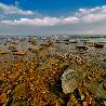 Victoria Popova. «Primorye region. Low-tide.»