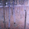 yuri miroshnichenco. «copy of Klimt»